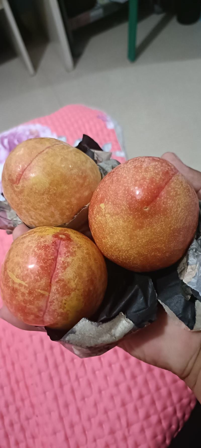 大红袍李子大量上市辽宁绥中产地大共应
