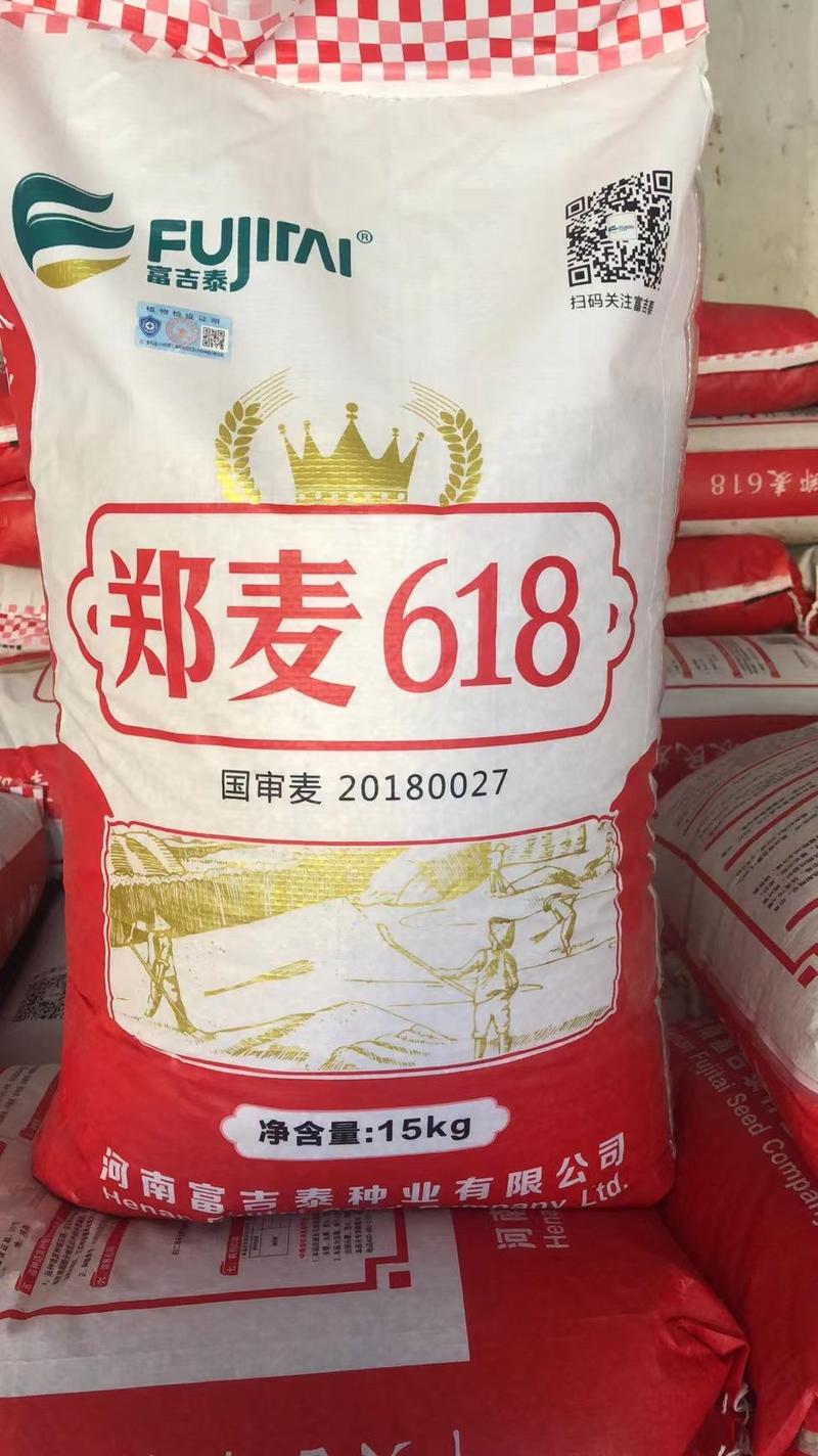 小麦种子优质高产小麦种籽郑麦618矮杆大穗抗倒抗病落黄好