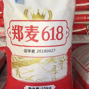小麦种子优质高产小麦种籽郑麦618矮杆大穗抗倒抗病落黄好