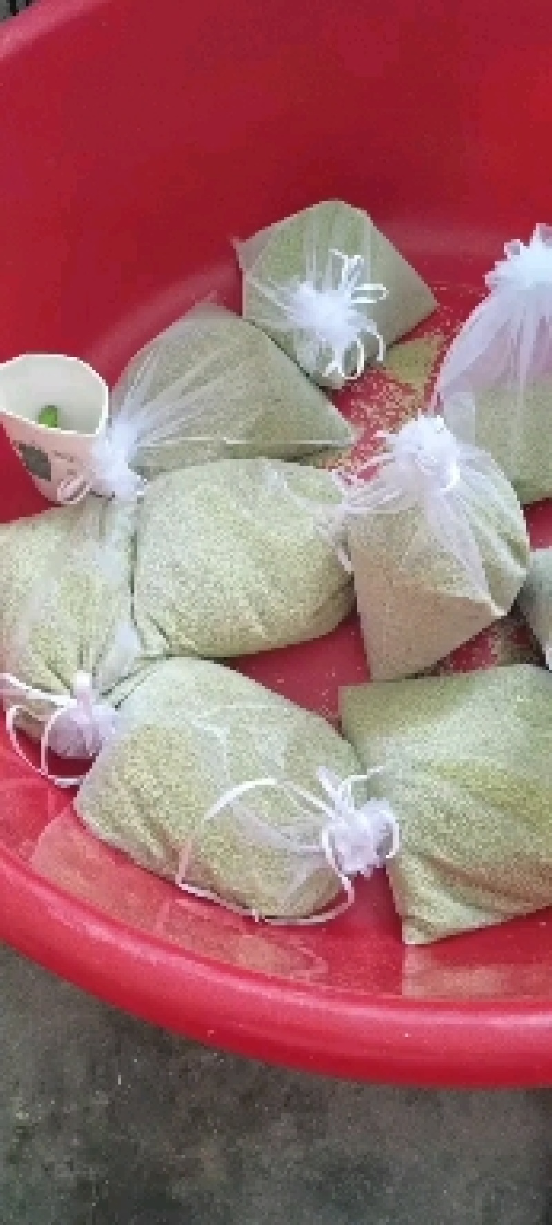 优质豆虫卵豆虫卵