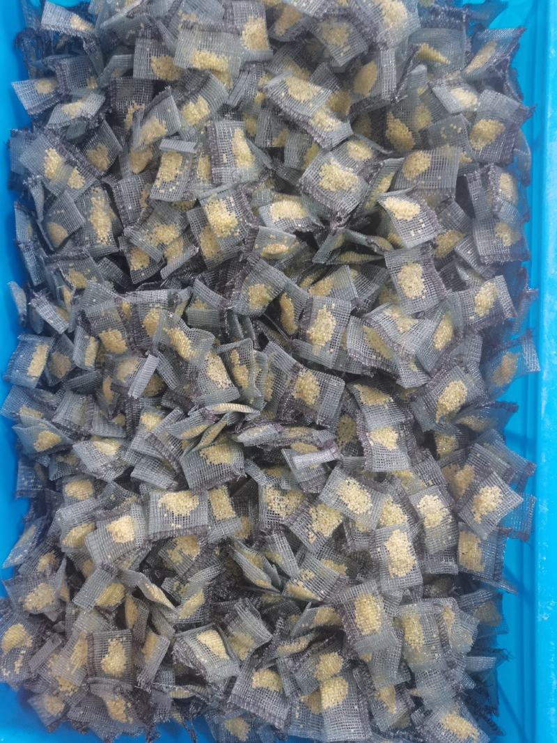 优质豆虫卵豆虫卵