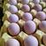 珍珠鸡蛋广东厂家直发保证一手货源常年新鲜供应