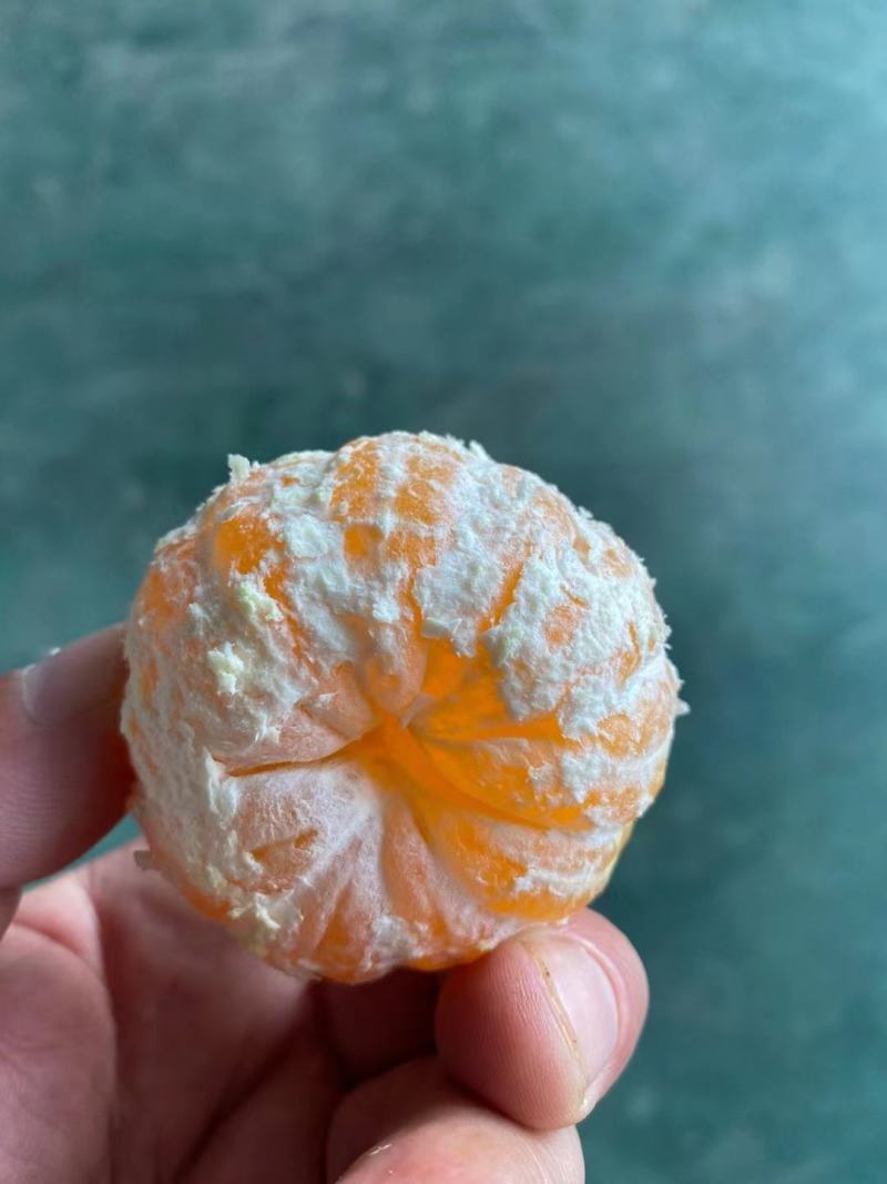 早熟蜜橘，实图实价，果园看货，现摘现，诚信为本，欢迎来电