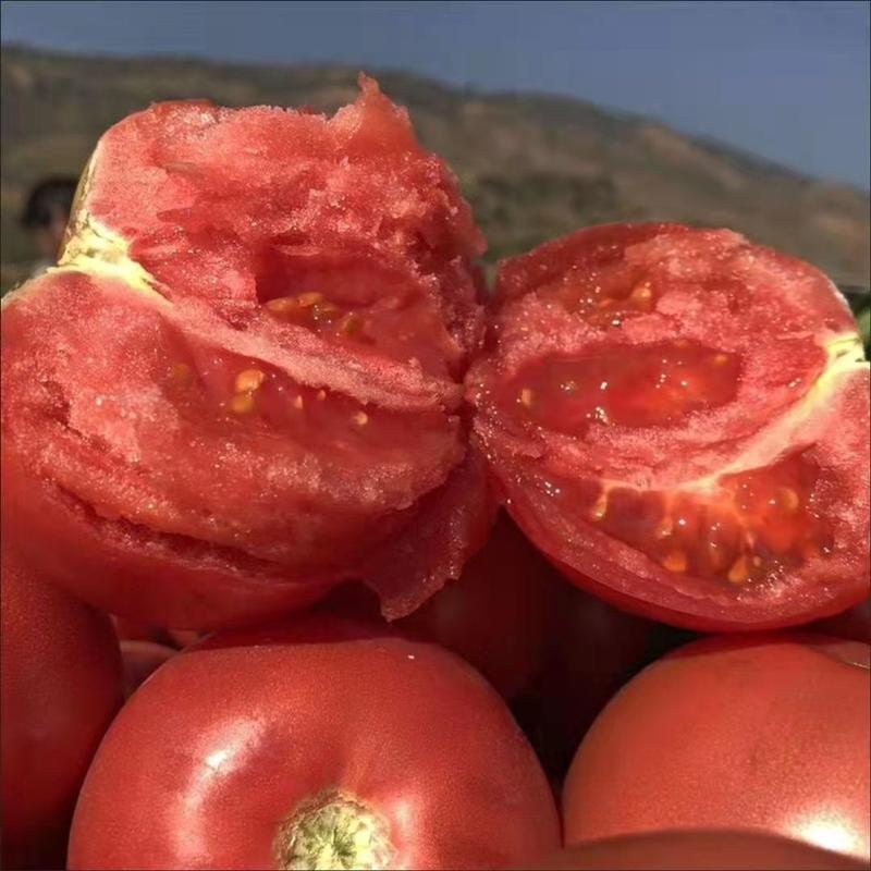 精品大红西红柿粉红西红柿基地直供一手货源品质保证欢迎采购
