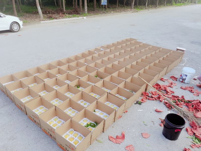 锦绣黄桃