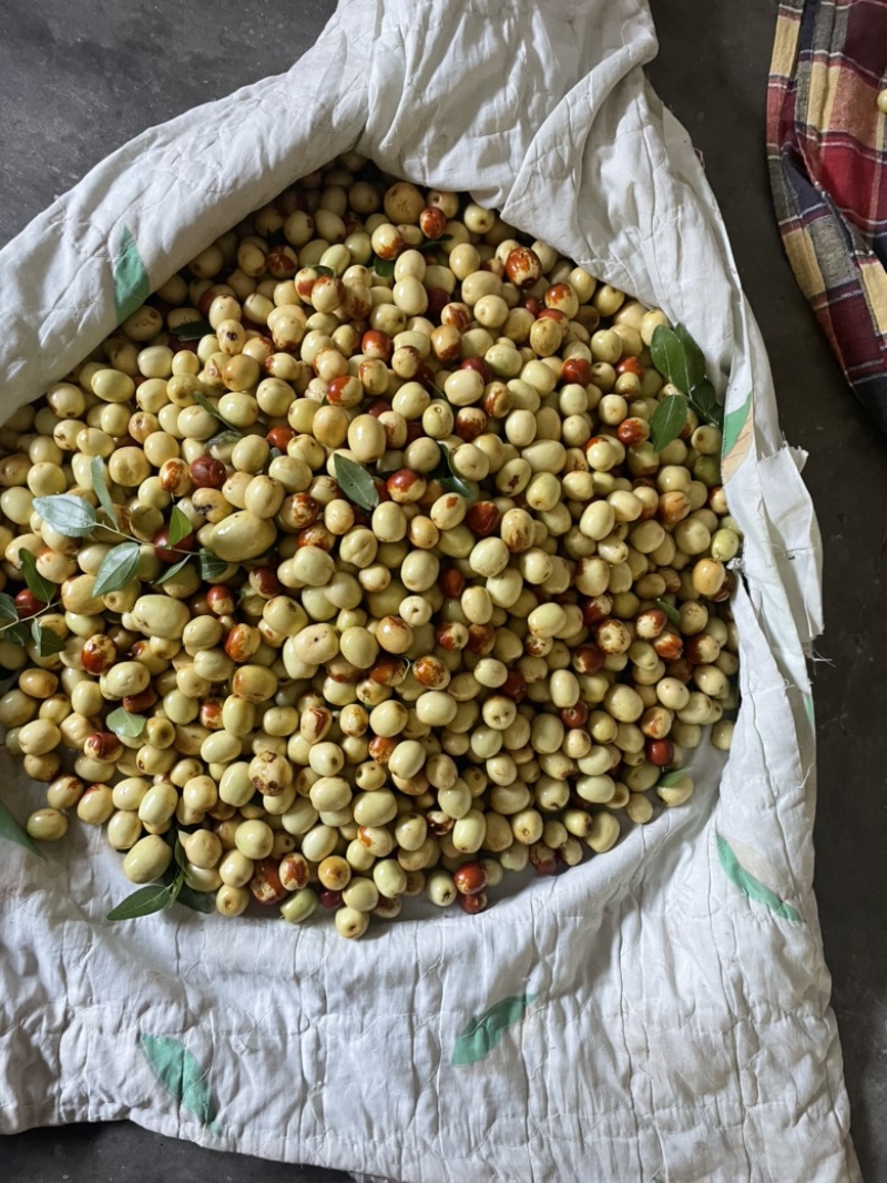 米枣大量上市啦！脆甜多汁，皮薄核小，化渣。诚信合作。🤝