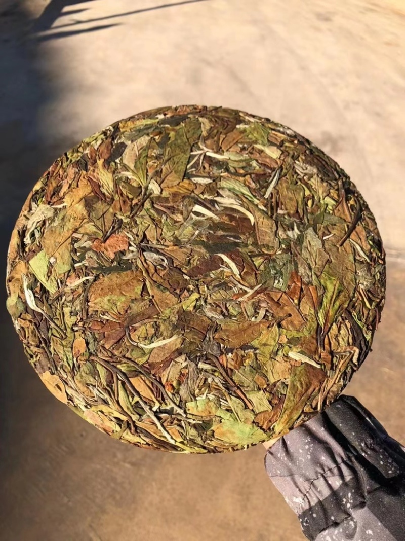 云南古树纯料白茶临沧产品白莺山老树特级高品质老白茶