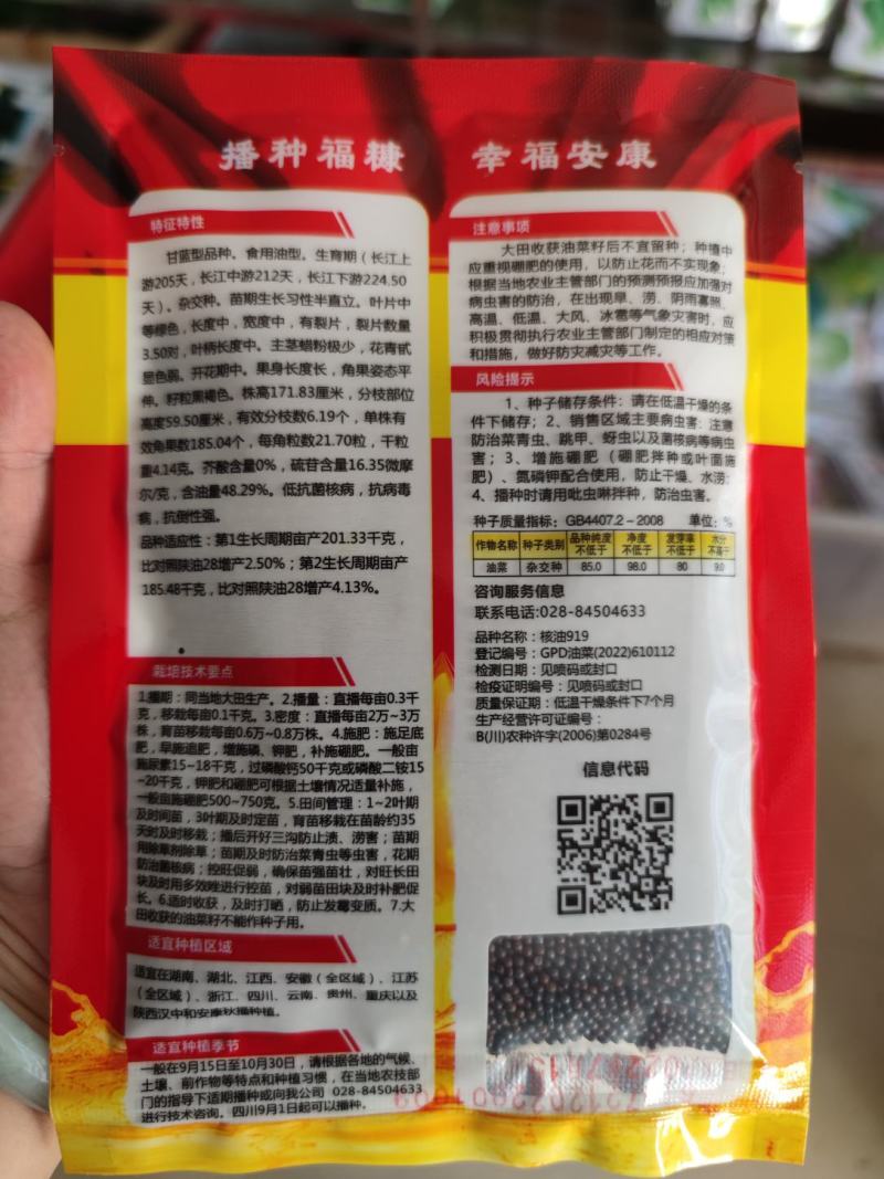 核油919油菜种子，85克，籽粒大含油高矮杆抗倒