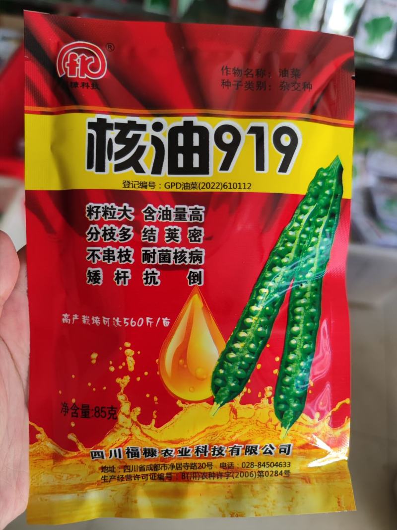 核油919油菜种子，85克，籽粒大含油高矮杆抗倒