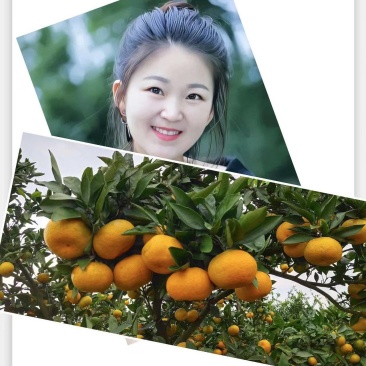 【特早蜜橘】果园现摘直发品质保障货源充足皮薄多汁