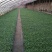 育苗基质50L蔬菜瓜果草莓育苗林木通用型全国包邮