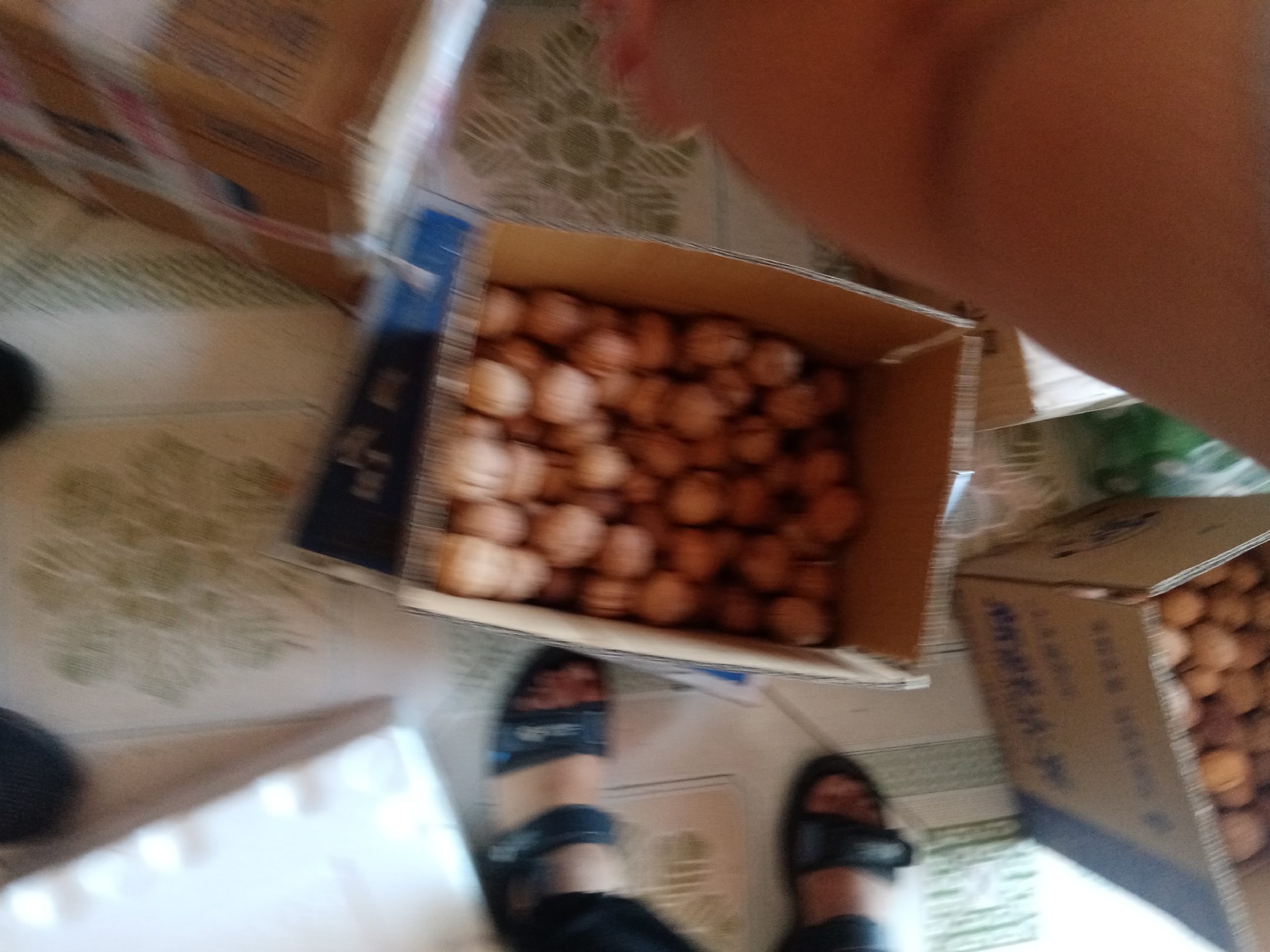 香玲核桃深加工产品展示台