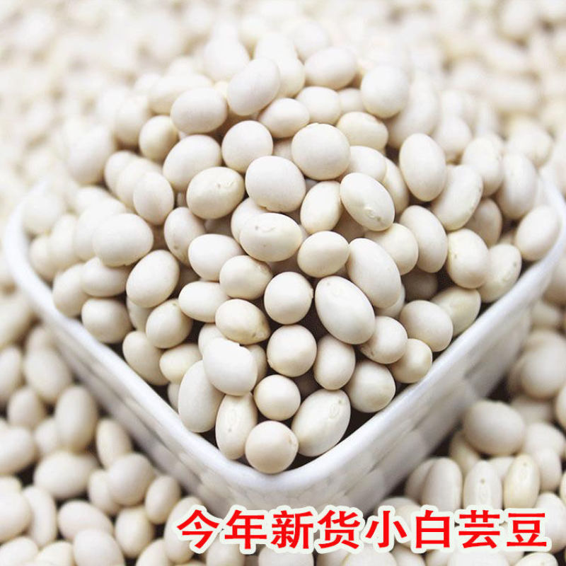 小白豆雪豆白芸豆小粒食品原料馅料量大从优