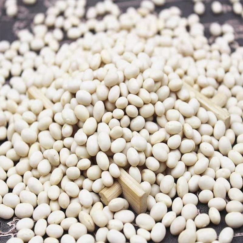 小白豆雪豆白芸豆小粒食品原料馅料量大从优
