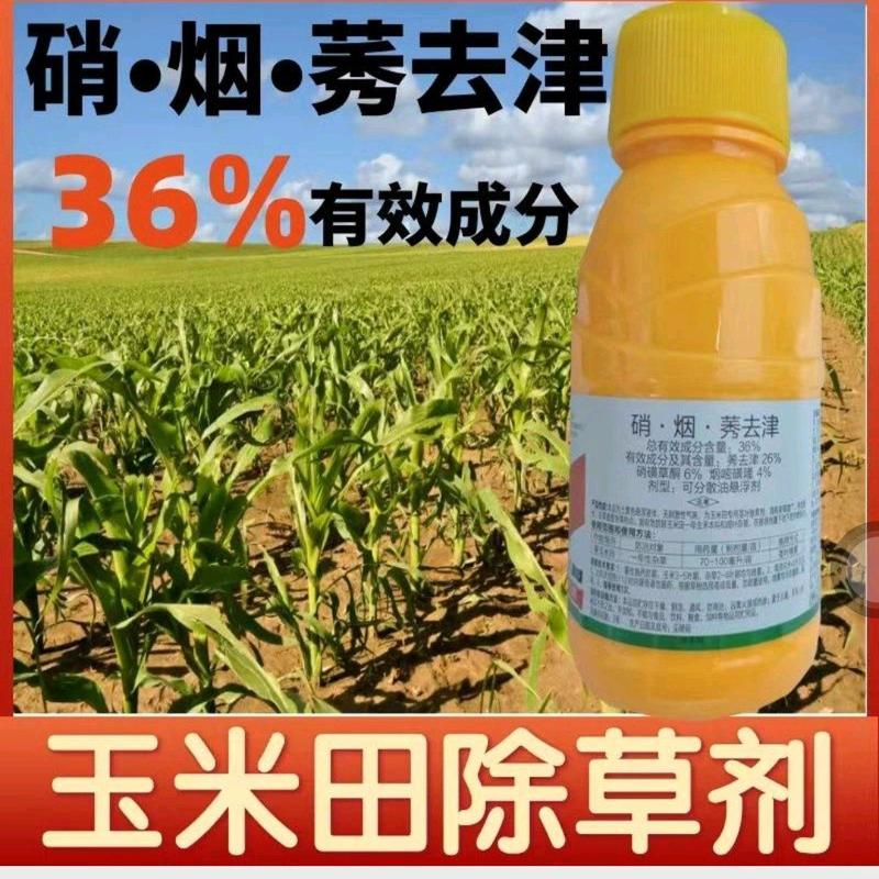 玉米苗后除草剂玉米除草剂36%硝烟莠去津禾阔双除玉米