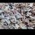 高质量牛杂价格低质量好