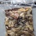 高质量牛杂价格低质量好