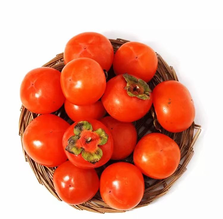 展示新鲜采摘的红润饱满西柿子果实,背景为果园或农田环境 新鲜采摘的西柿子果实