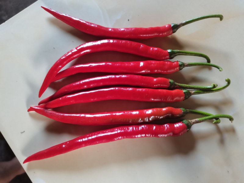 青辣椒，红辣椒，新鲜刺梨