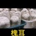 槐耳种植量大从优！只要您有量我就有价，欢迎订货合作!