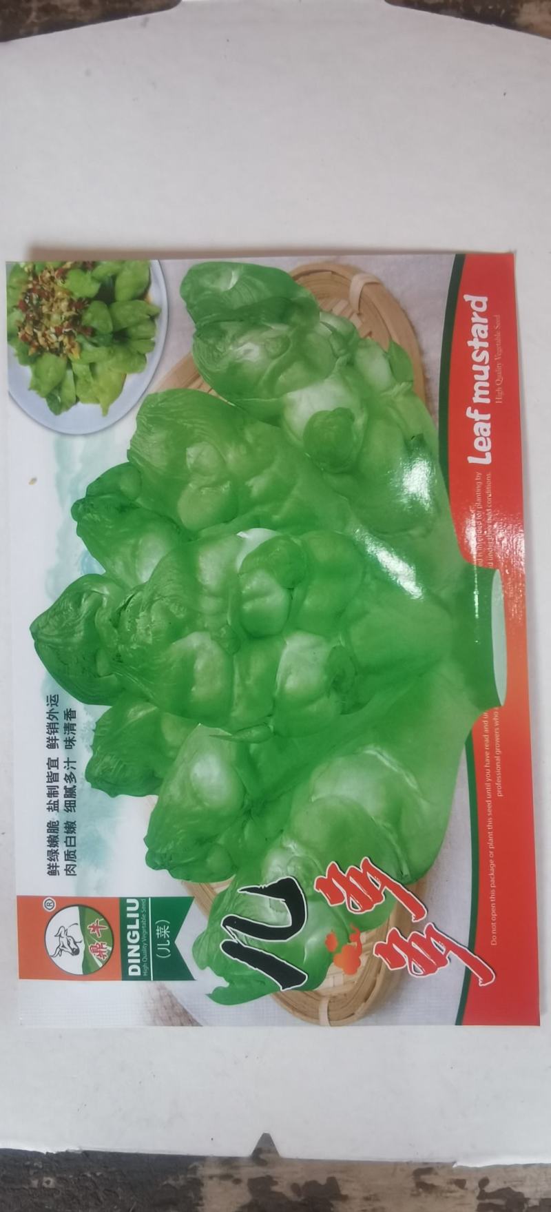 中晚熟儿菜种子儿多多鲜绿脆嫩肉质洁白味清香