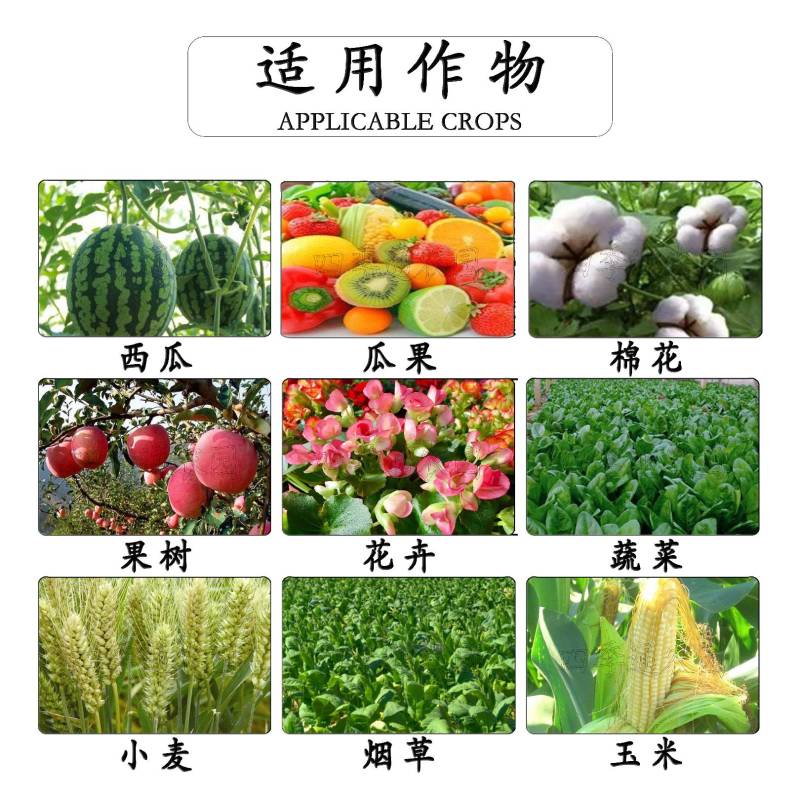35%噻虫嗪蚜虫叶蝉木虱绿叶蝉蓟马盲蝽潜叶蛾害虫杀虫