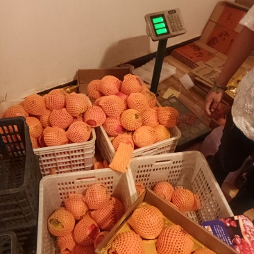 石榴