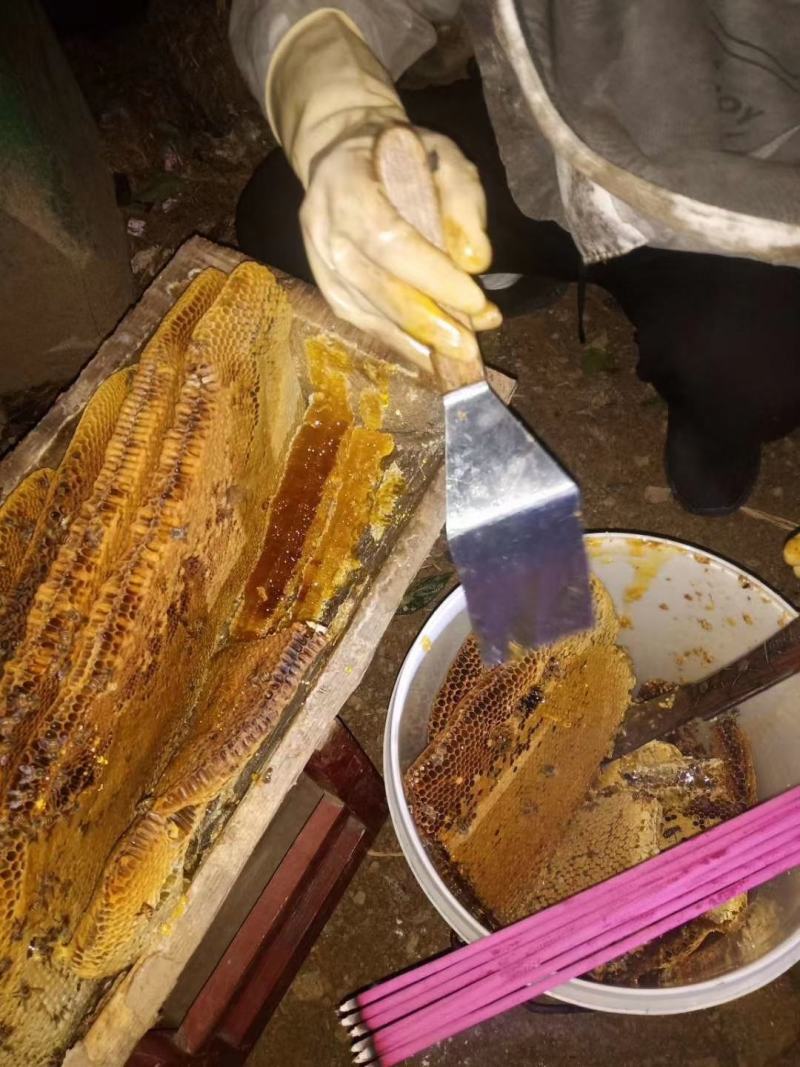 正宗土蜂蜜一年只取一次的好蜜，自产自销，欢迎大家前来咨询