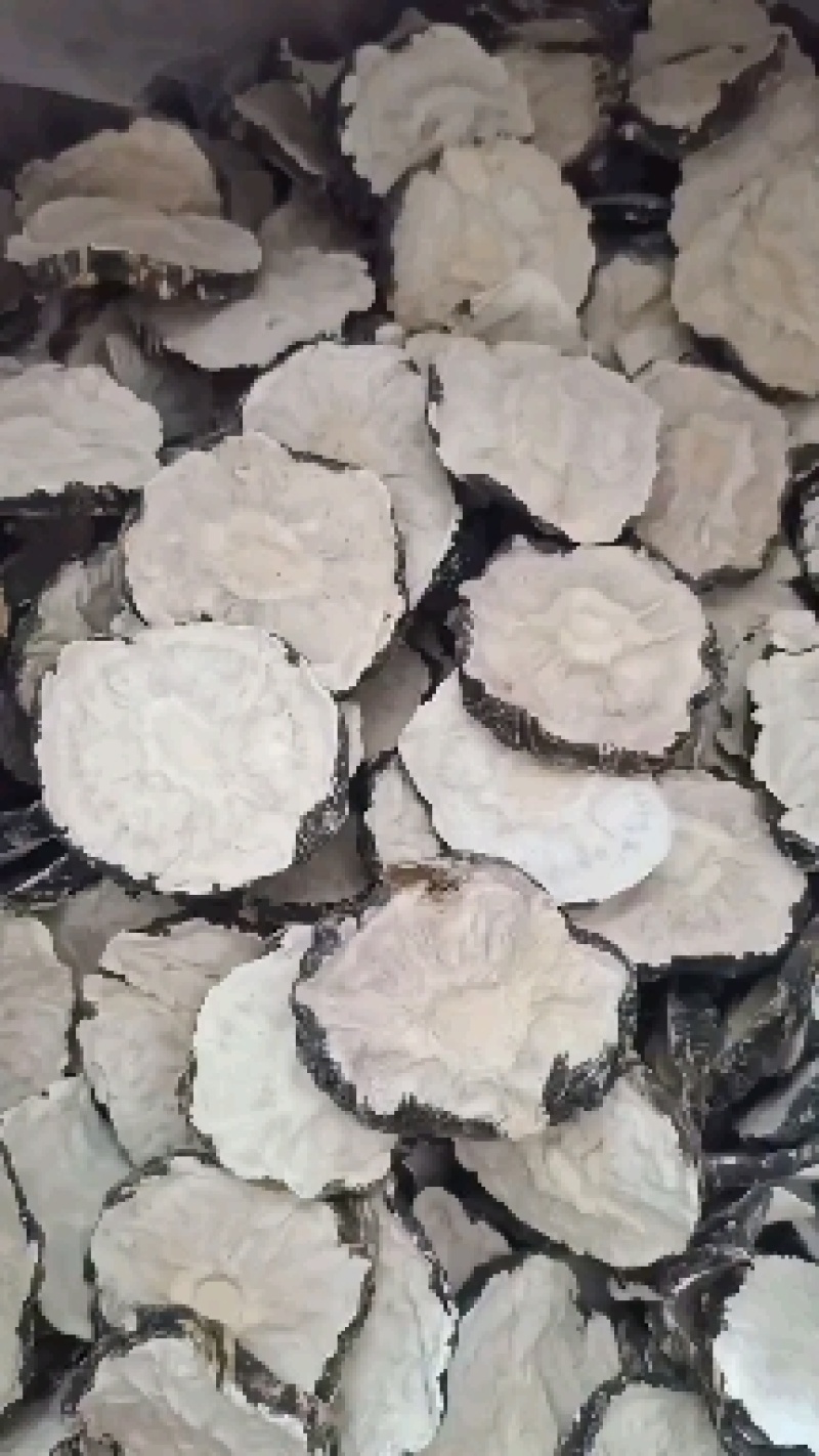 蝉蜕欢迎选购各种中药材养生花茶批发地道药材