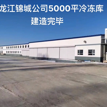 食品加工冷库，阳光玫瑰，蓝莓冷库，药材冷库，水果储存