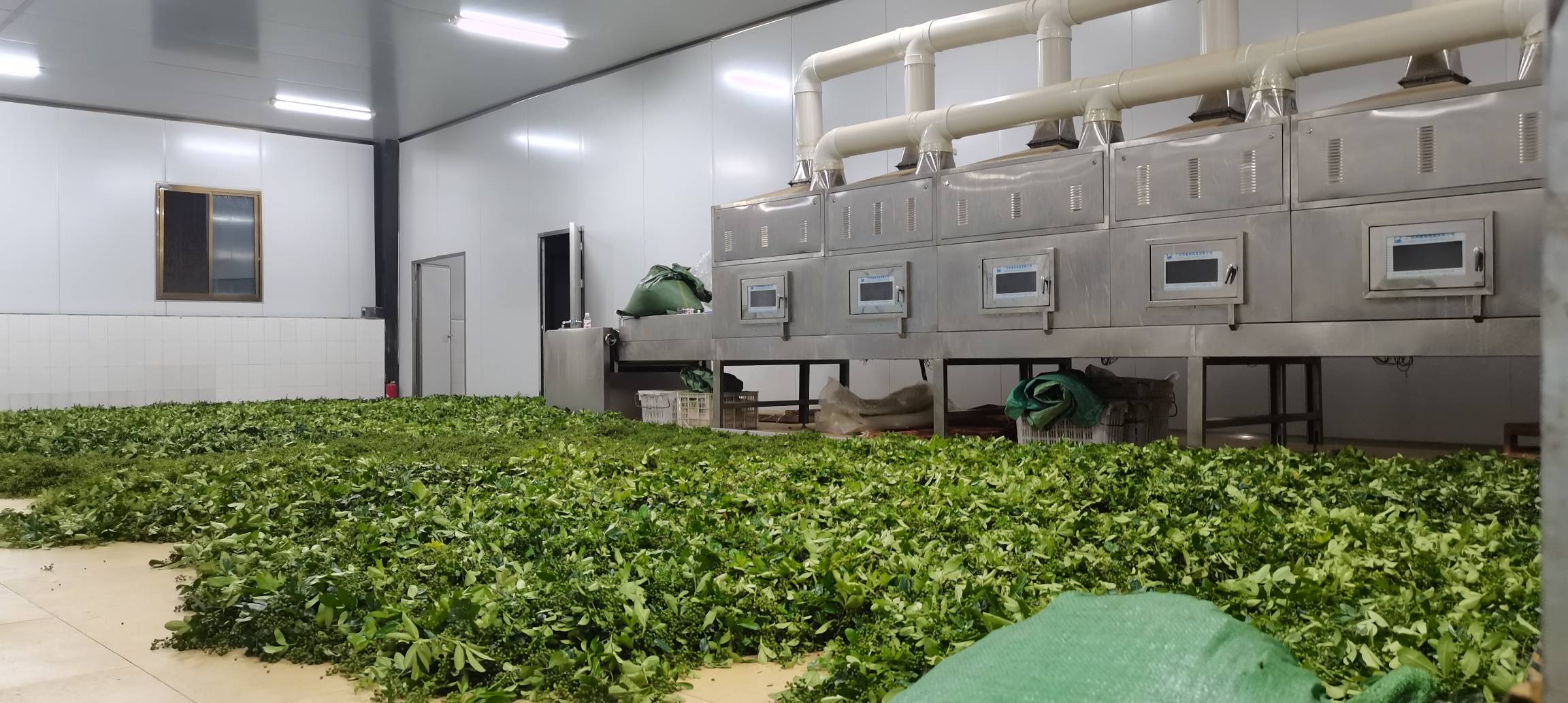 现代化花椒加工厂内部