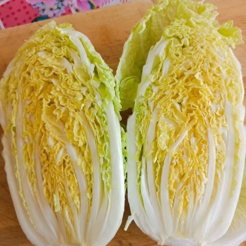 甘肃大娃娃菜，产地直销，货量充足，欢迎老板咨询打扰