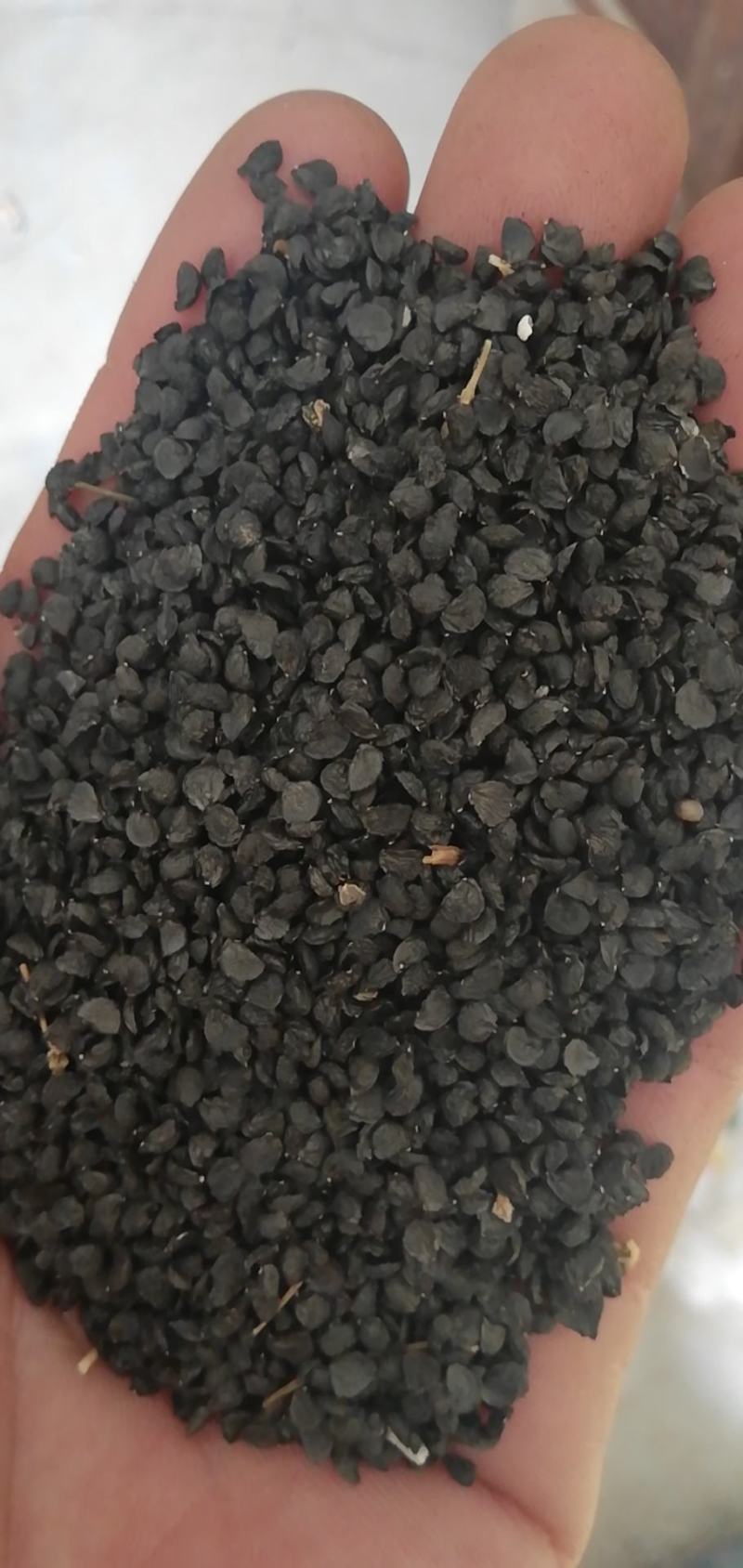 韭菜籽水洗货，干净无杂，全年有货