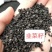 韭菜籽水洗货，干净无杂，全年有货