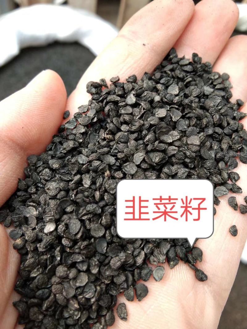韭菜籽水洗货，干净无杂，全年有货