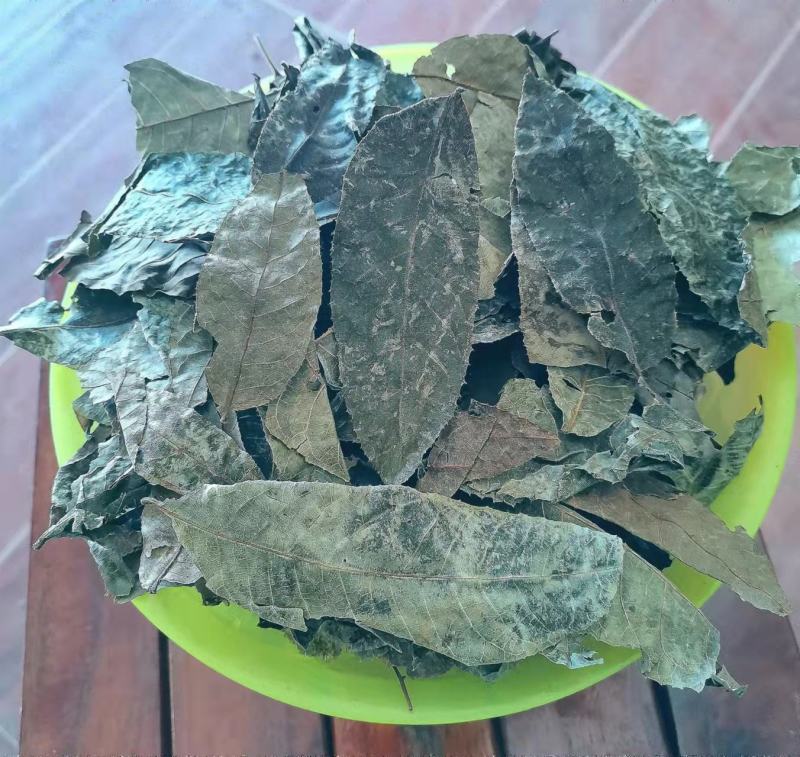 千年通眼古树叶树叶甜茶生叶直晒有益健康，量大从优