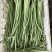 精品甜豆角长豆角丝瓜苦瓜类农产品大量供应。