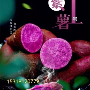 泰紫薯一号，正品假一赔十口感香甜软糯支持一件代发社区团购
