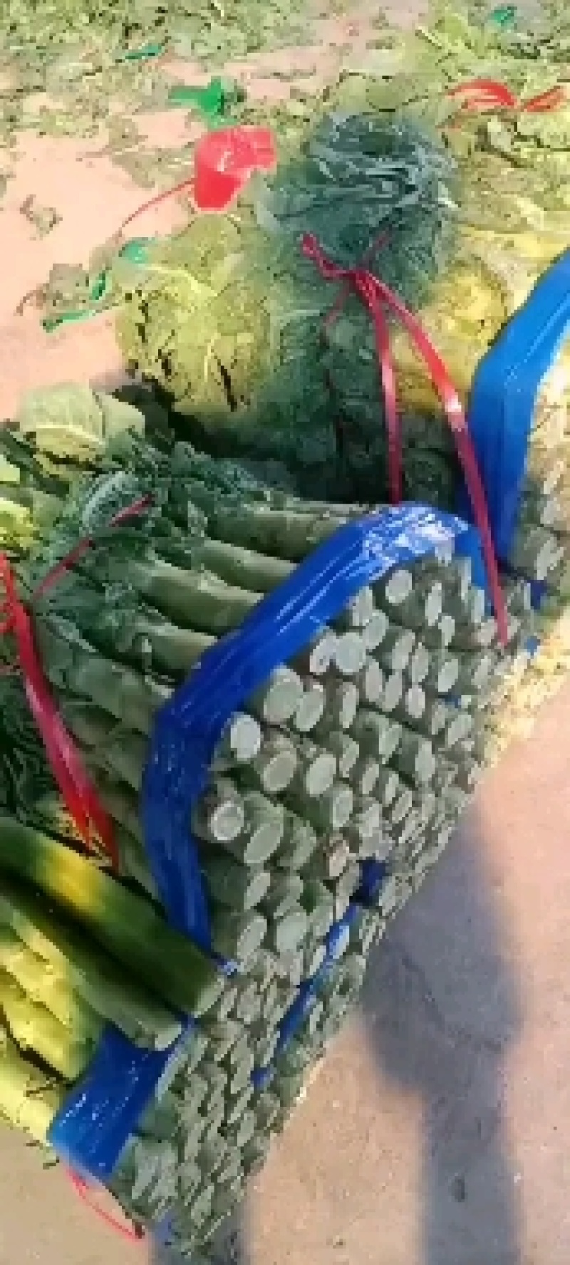 精品，三青