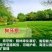 台湾矮生百慕大种子果岭草地毯草种籽剪股颖别墅庭院草坪种籽