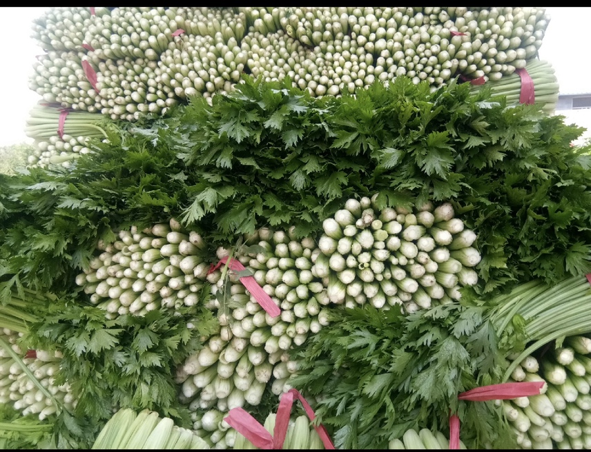 一杯新鲜的高原西芹汁,色泽翠绿,清香扑鼻 高原西芹榨汁成品图