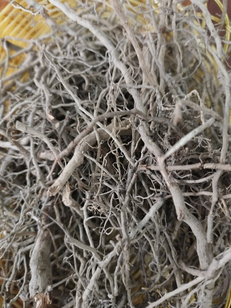 肿节风~九节茶根~草珊瑚根~真材实料，货真价实，欢迎下单