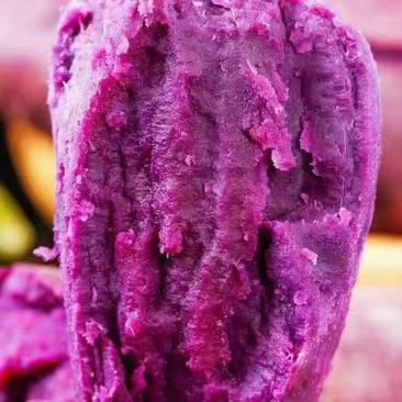 紫薯，龙九红薯大量上市中，货源充足，欢迎采购，支持一件代