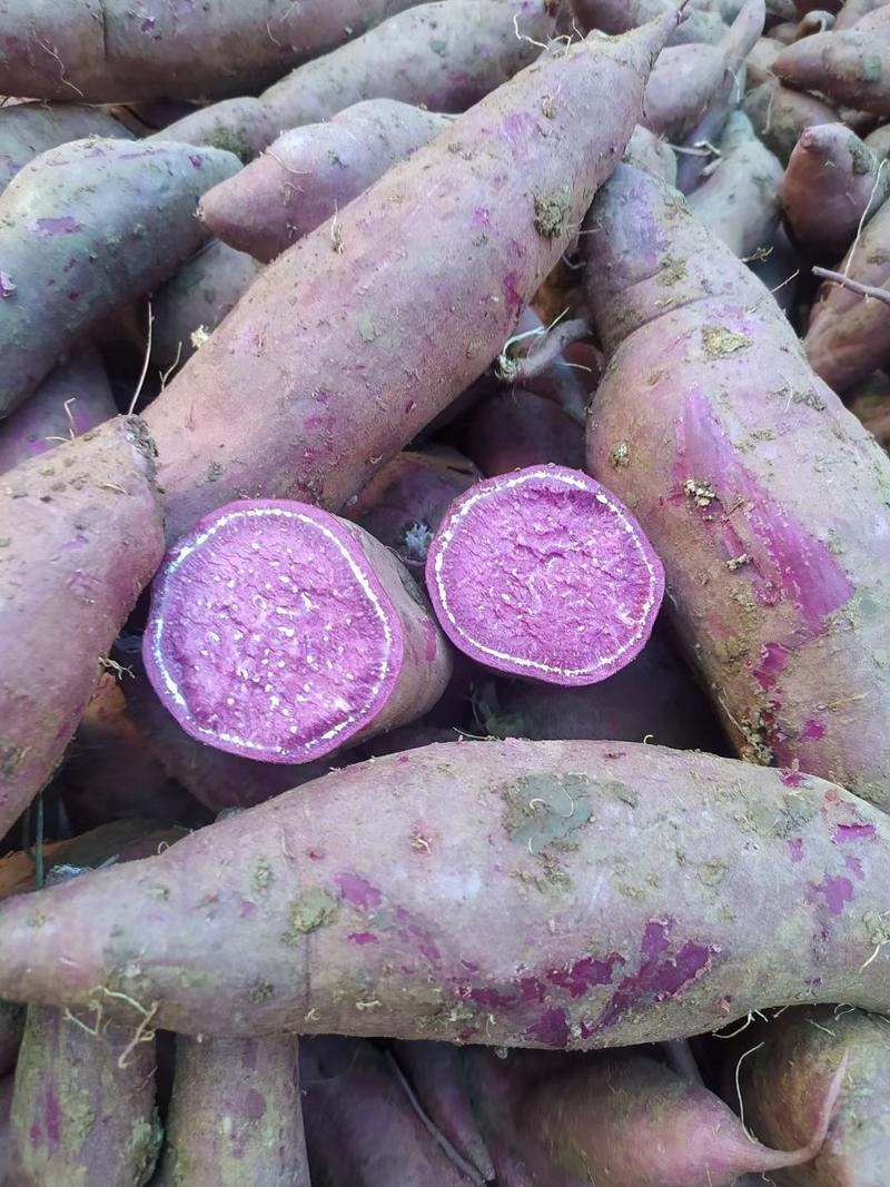 紫薯，龙九红薯大量上市中，货源充足，欢迎采购，支持一件代