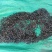 2025年余干大塘鄱阳湖特色本地生西瓜子