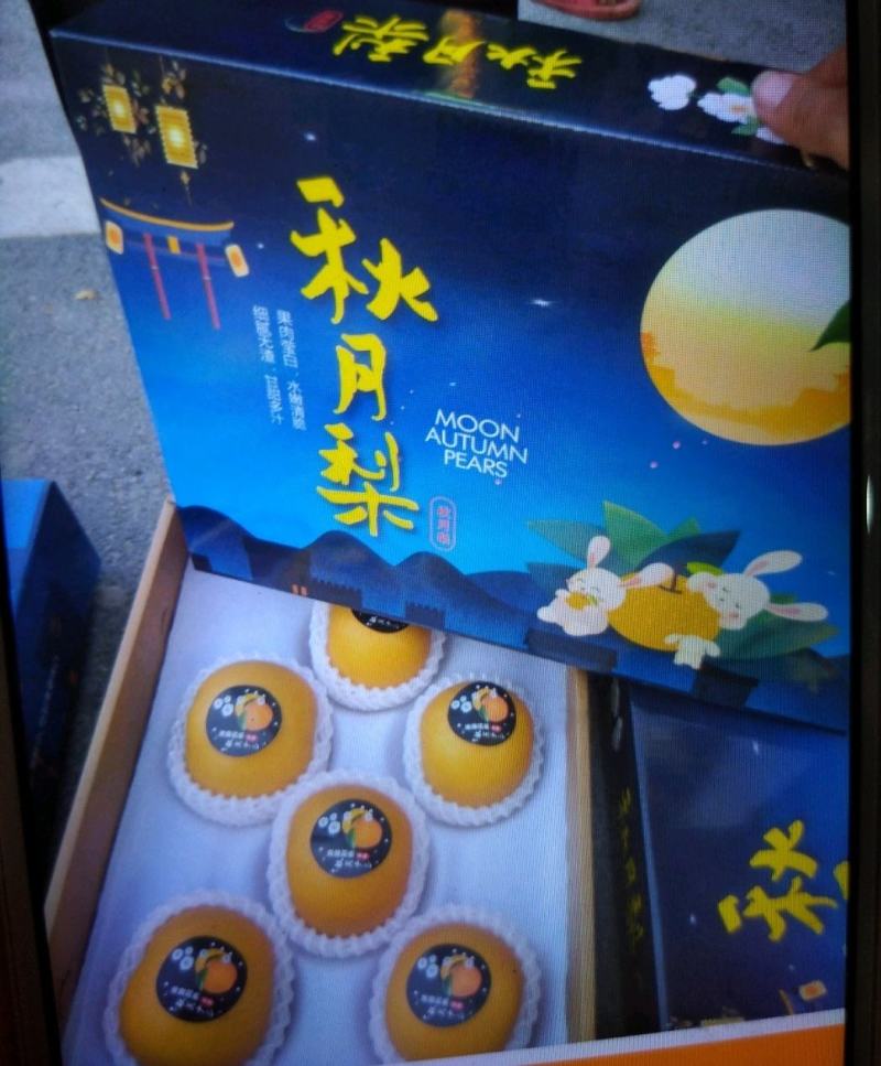 山东省莱西秋月梨华山梨黄金梨