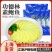 上海功德林素鲍鱼5只冷冻素食半成品冷菜料理宴席配芥末