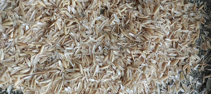 养殖饲料牛料进口燕麦壳