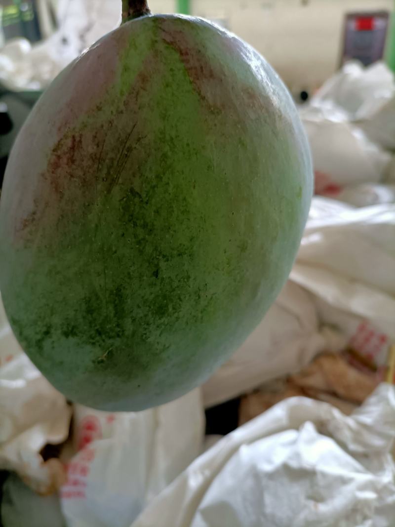 攀枝花凯特芒净8.5斤装
