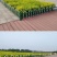 锌钢草坪护栏花坛园林围栏公园庭院栅栏花园户外栏市政绿化